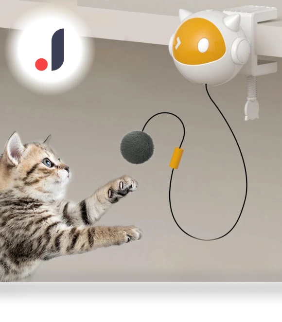 Automatic Lift Ball for Cats — Cat Playthings, ZJM Mall