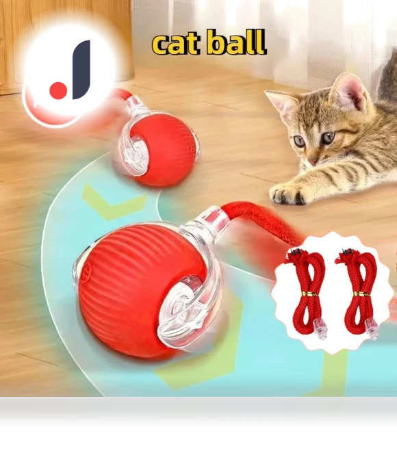 Interactive Ball for Cats — Cat Playthings, JINGYUE Pet