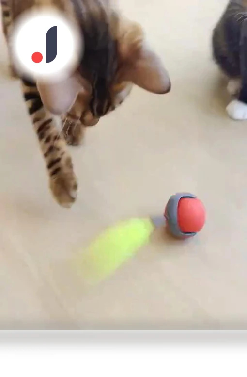 Interactive Cat Ball — Cat Playthings, Corners of the City MALL