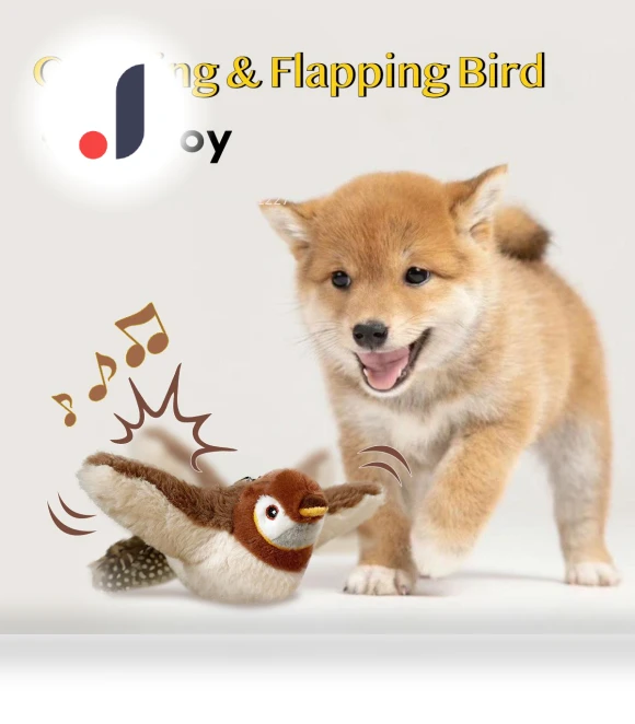 Interactive Cat Toys — Cat Playthings, JINGYUE Pet