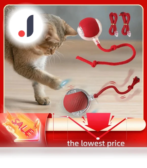 Interactive Pet Toy Ball — Cat Playthings, JINGYUE Pet