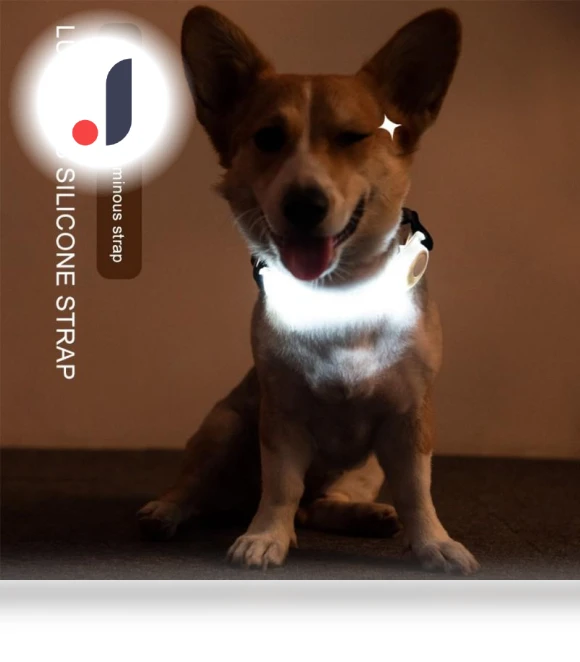 LED Dog Collar — Collars, Smart Pet Supplies
