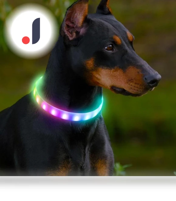 Lightweight USB Dog Collar — Collars, Smart Pet Supplies