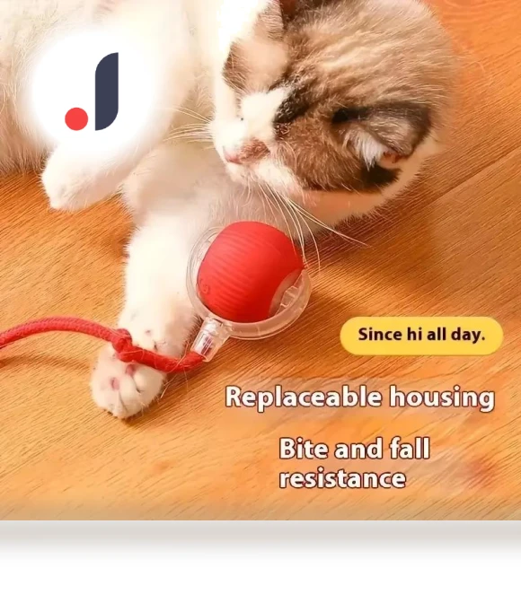 Rechargeable Smart Pet Toy — Balls, JINGYUE Pet