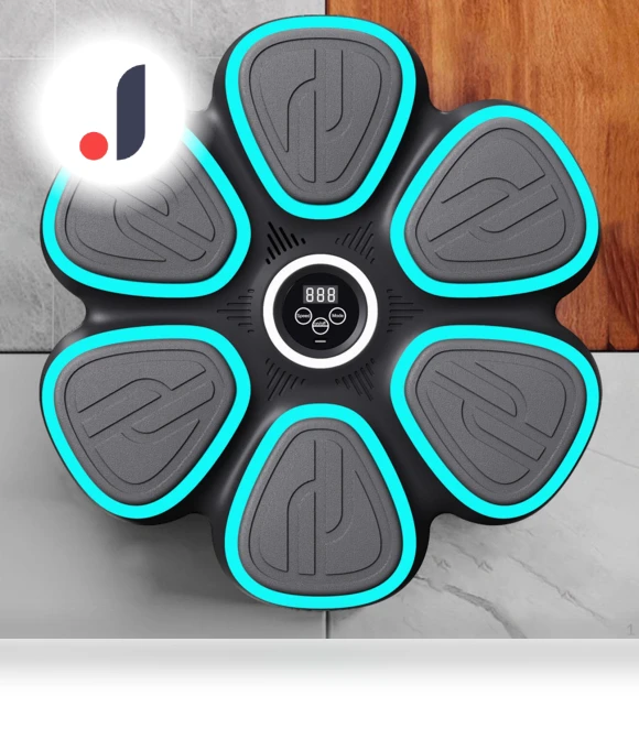 Smart Music Boxing Trainer — Boxing Training Gear, SunshineTek