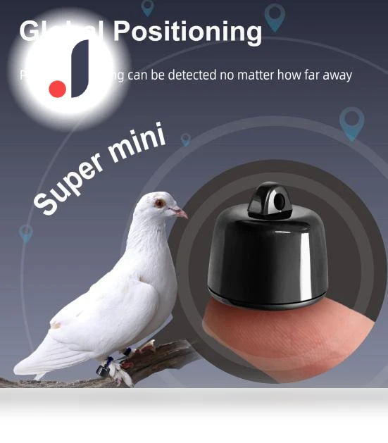 Smart Pet Collar with Real-Time GPS Tracking — Trackers, Sevier 3C