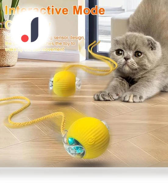 Interactive Motion-Activated Rolling Ball Toy — Cat Playthings, fanweixi