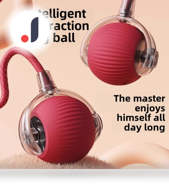 Interactive Pet Ball — Balls, Smart Pet Supplies