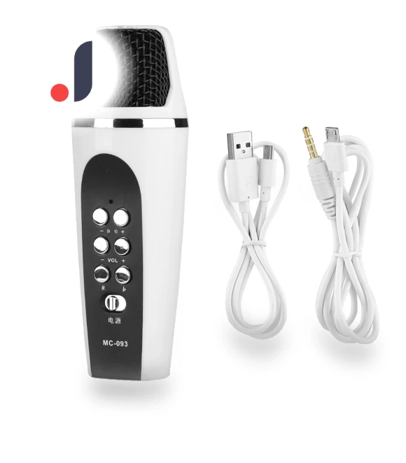Mini 4-Mode Voice Changer Microphone — Spy Gadgets, OutsideWorld