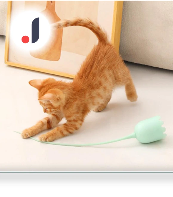 Electric Cat Teaser Stick — Cat Playthings, Pet daily necessities
