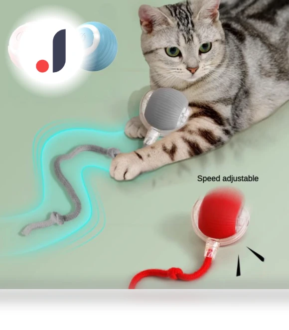 Electric Cat Toys with Ball — Cat Playthings, Pet daily necessities