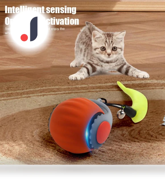 Interactive Cat Toy Ball — Cat Playthings, Boyhood