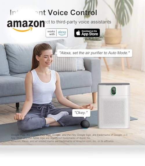 Air Purifier for Large Rooms — HEPA Air Purifiers, EZBASICS