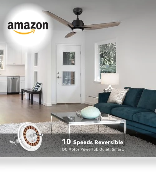 Smart Ceiling Fan with Lights — Ceiling Fan Wall Controls, SMAFAN