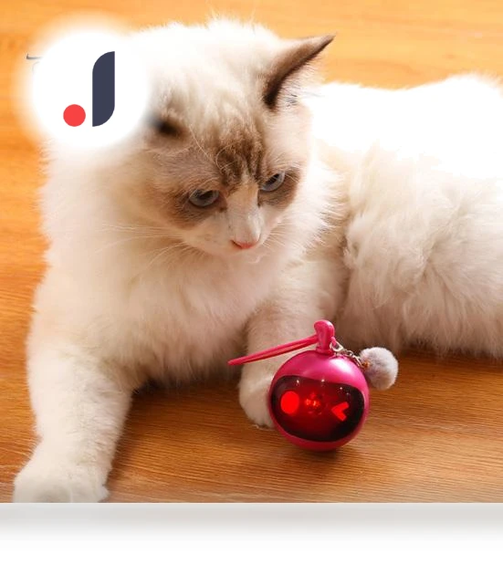 Automatic Moving Ball — Cat Playthings, Pet park