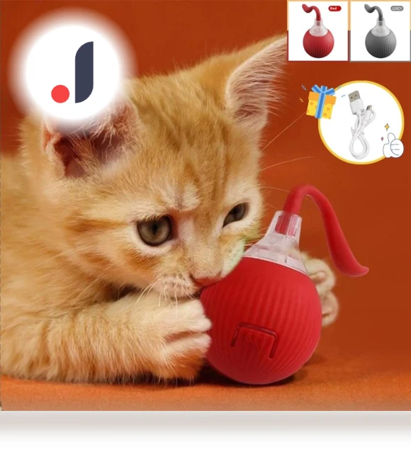 Automatic Rolling Ball for Cats — Cat Playthings, YJMP Top