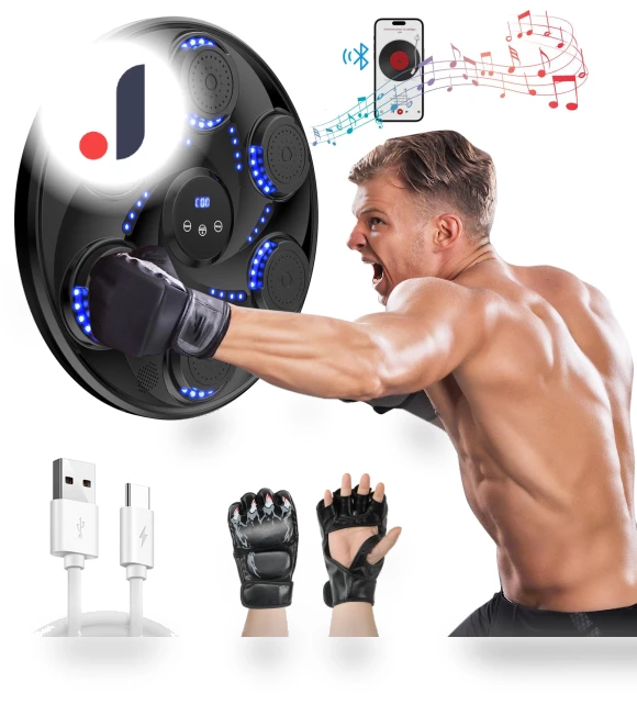 Bluetooth Music Boxing Wall Target — Fitness & Activity Monitors, Holland Ham