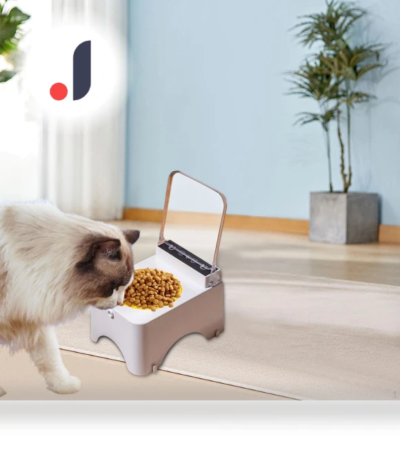 Elevated Cat Food Bowl with Stand — Feeding Supplies, Closet of Beauty