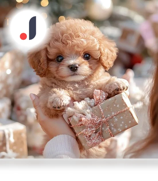 Robotic Dog — Interactive Animal Companions, Beautybay