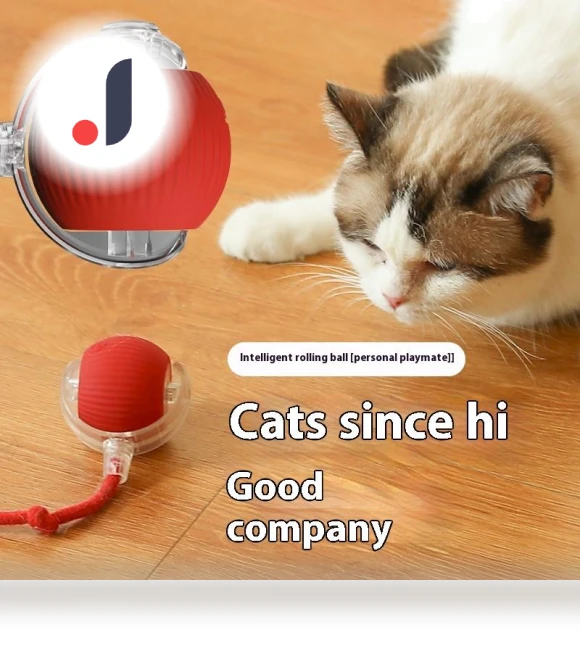 Electric Cat Toy Ball — Cat Playthings, Happy daily purchase