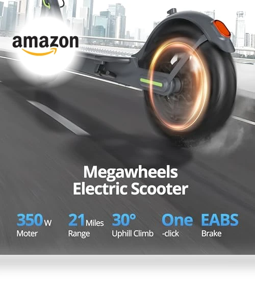 Electric Scooter — Electric Self-Balancing Scooters, Roinside