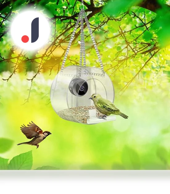 Smart Bird Feeder with Night Vision Camera — Outdoor & Wildlife Cameras, I love My Pet