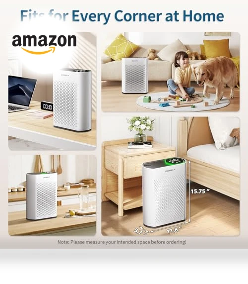 Air Purifier for Large Rooms — Activated Carbon Air Purifiers, ECOSELF
