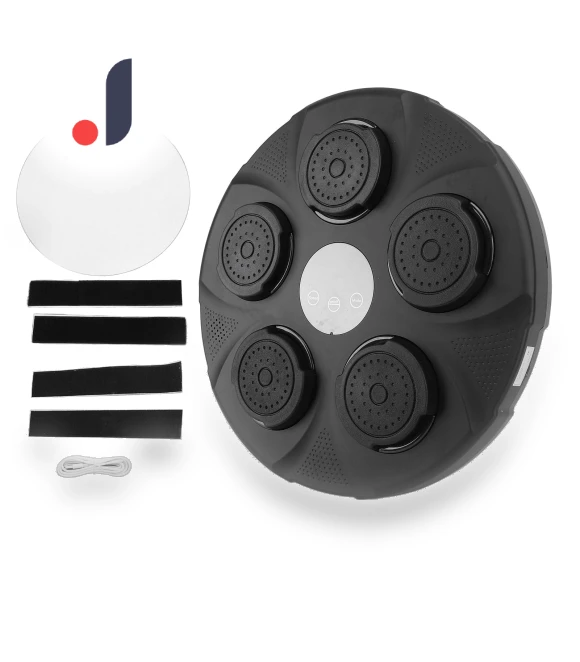 Bluetooth Smart Boxing Trainer — Boxing Training Gear, Fishine