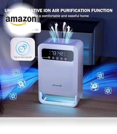 Dehumidifier With Air Purifier — Air Moisture Control, FRIZZLIFE