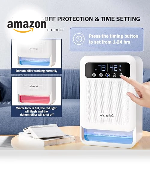 Dehumidifier With Air Purifier — Air Moisture Control, FRIZZLIFE