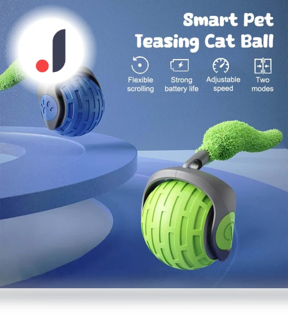Interactive Cat Toys — Cat Playthings, Wotypea