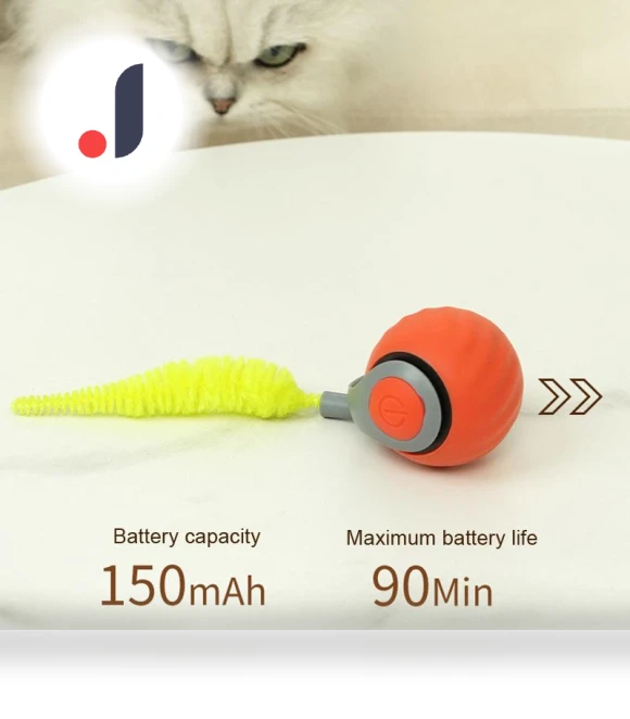 Interactive Pet Toy Ball — Cat Playthings, Wotypea