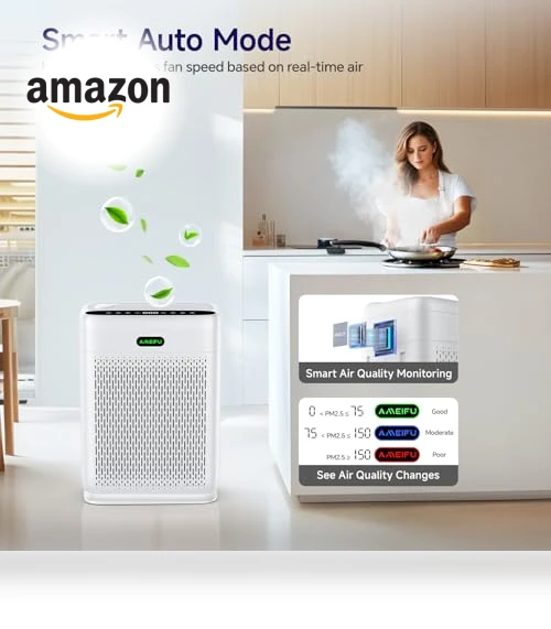 Large Room Air Purifier — Activated Carbon Air Purifiers, AMEIFU