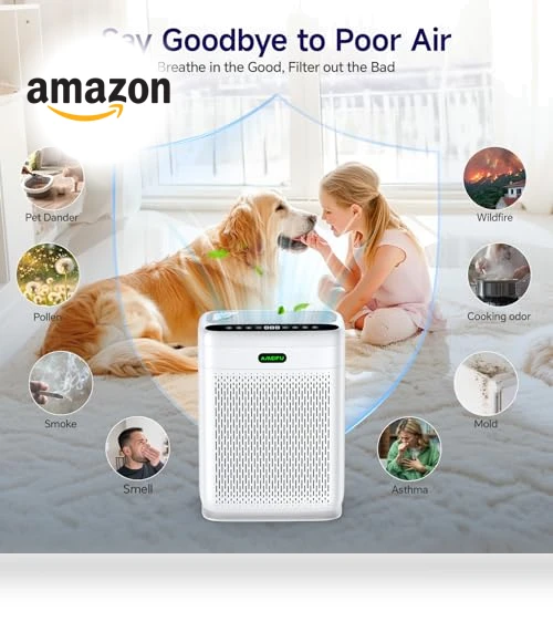 Large Room Air Purifier — Activated Carbon Air Purifiers, AMEIFU