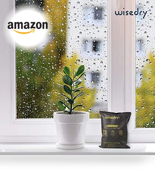 Rechargeable Silica Gel Car Dehumidifier — Air Moisture Control, wisedry