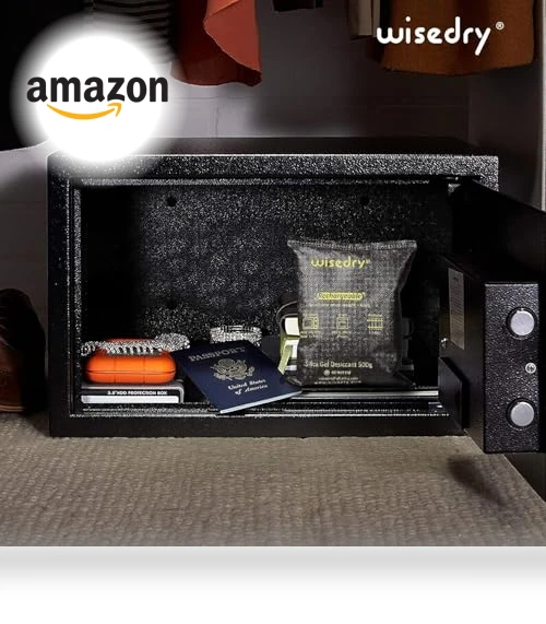 Rechargeable Silica Gel Car Dehumidifier — Air Moisture Control, wisedry