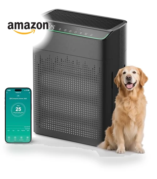 Smart Air Purifier — Activated Carbon Air Purifiers, FLANUR