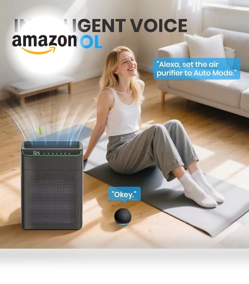 Smart Air Purifier — Activated Carbon Air Purifiers, FLANUR