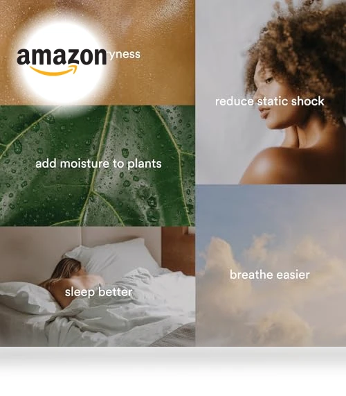 Deluxe Ultrasonic Humidifier — Air Moisturizers, Homedics