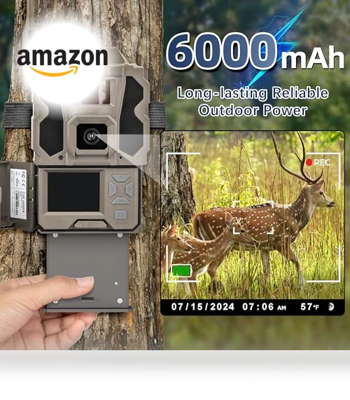 Rechargeable Hunting Camera Battery — Batteries, Lesaps