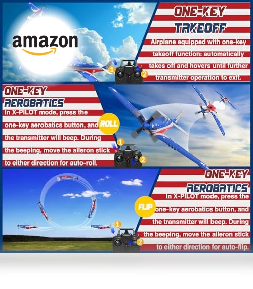 Remote Control Airplane — Remote Control Aircraft, LEAMBE