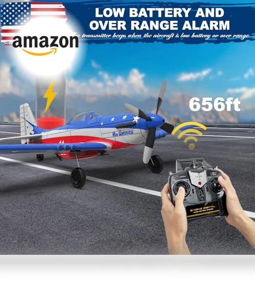 Remote Control Airplane — Remote Control Aircraft, LEAMBE