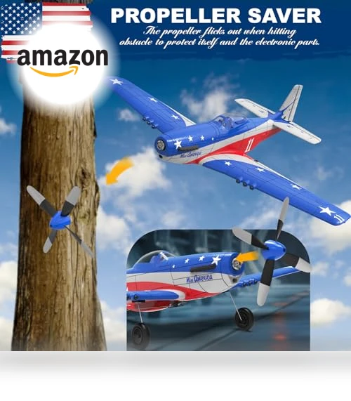 Remote Control Airplane — Remote Control Aircraft, LEAMBE