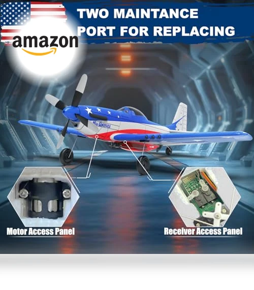 Remote Control Airplane — Remote Control Aircraft, LEAMBE