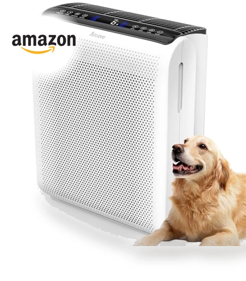 Air Purifier for Large Rooms — Activated Carbon Air Purifiers, AROEVE