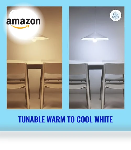 A19 LED Smart Light Bulb Tunable White — Smart Home Modules, WiZ Connected