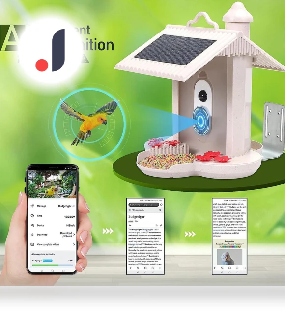 Smart Bird Feeder Camera — Outdoor & Wildlife Cameras, Aamazing