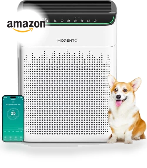 Air Purifier for Large Room — Activated Carbon Air Purifiers, MORENTO