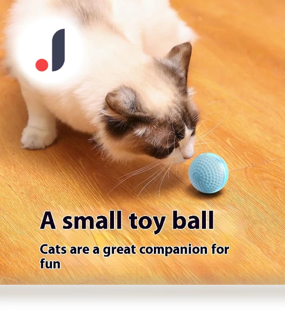 Automatic Rolling Ball Pet Toy — Interactive Animal Companions, Wotypea