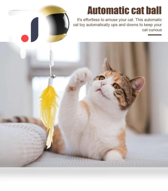 Door Hanging Electric Cat Feather Toy — Cat Playthings, Hot Women